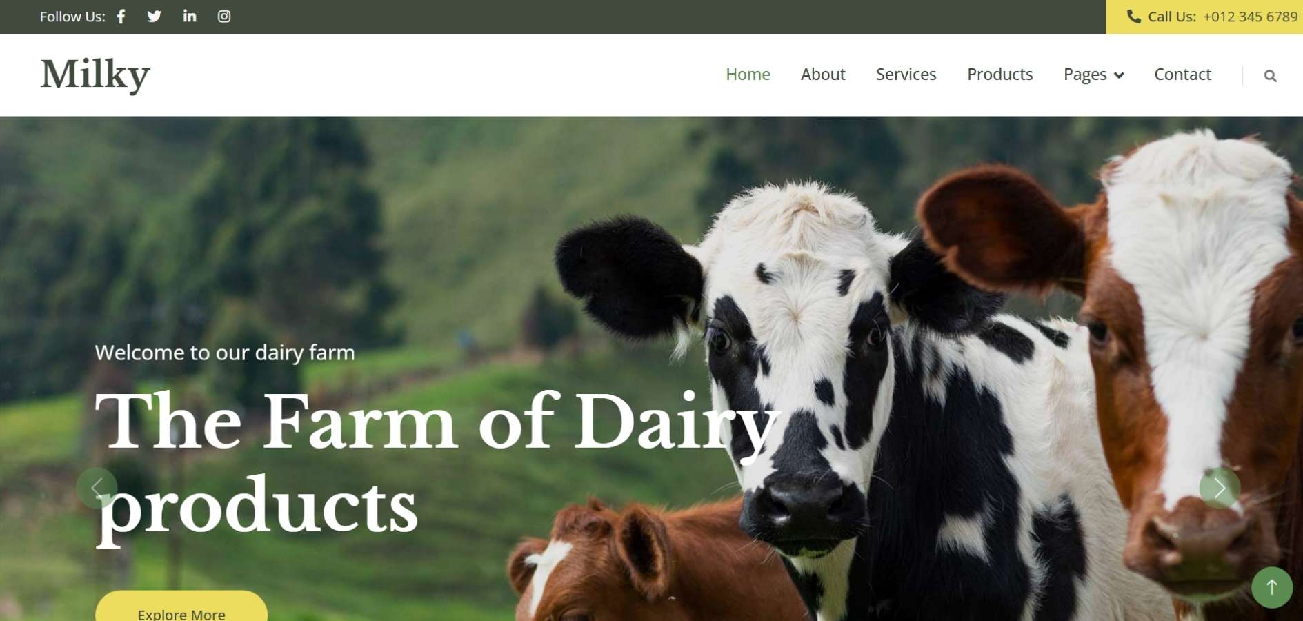 Dairy Business HTML Template Dairy Business HTML Template