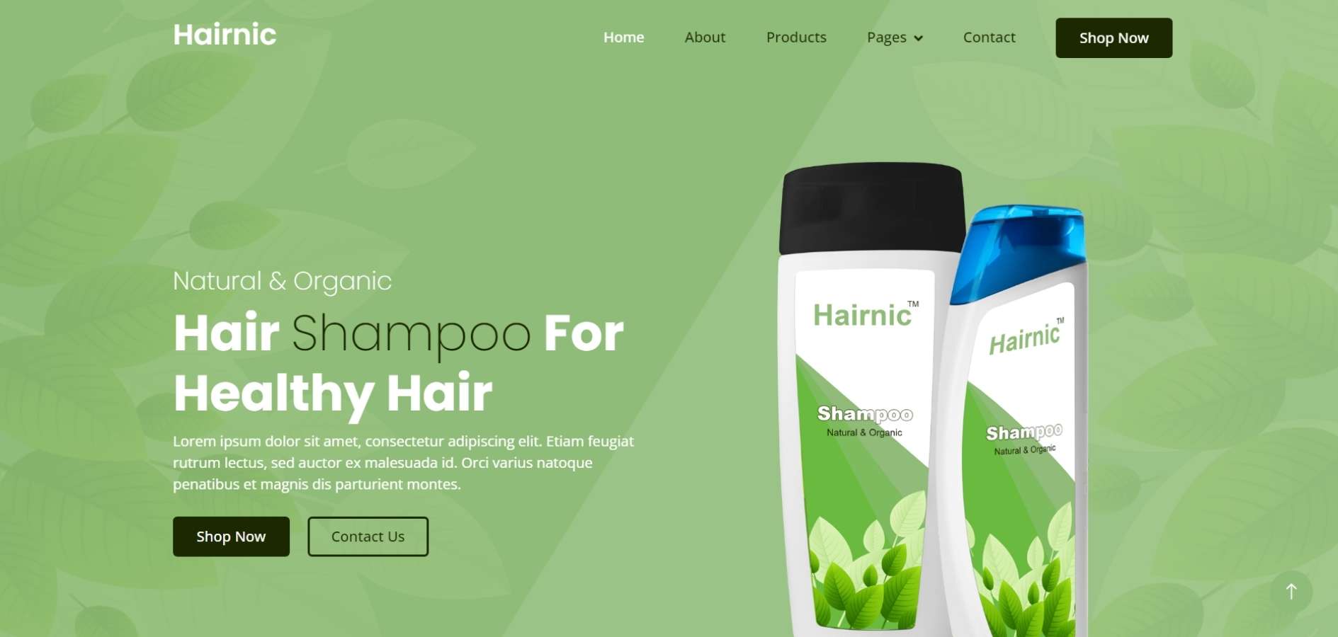 Single Product Website HTML Template Single Product Website HTML Template